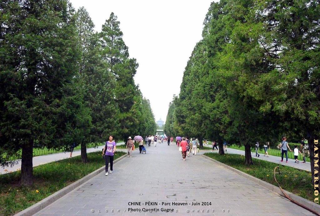 011- Pekin Heaven.JPG